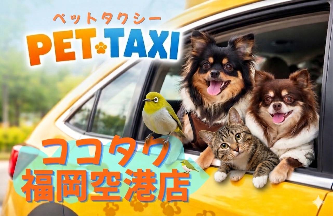 大切な家族のペットちゃんを安全に各日に送迎いたします